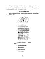 Referāts 'Asinis', 7.