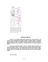 Referāts 'Asinis', 14.