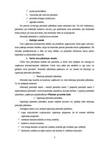 Referāts 'Personāla vadība un tās īpatnības', 6.