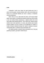 Referāts 'Cilvēktiesību funkcijas valstī', 3.