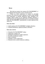 Referāts 'Stratēģiskā plānošana uzņēmumā SIA “Bluebridge”', 3.