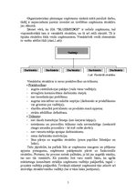 Referāts 'Stratēģiskā plānošana uzņēmumā SIA “Bluebridge”', 5.