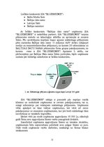 Referāts 'Stratēģiskā plānošana uzņēmumā SIA “Bluebridge”', 12.