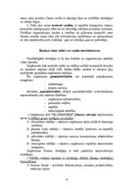 Referāts 'Stratēģiskā plānošana uzņēmumā SIA “Bluebridge”', 18.