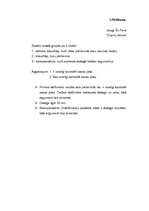 Referāts 'Lasītprasmes attīstīšana 5.-7.kasei krievu valodas mācību skolās', 22.