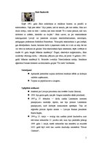 Konspekts 'Personības reklāmā no 1996. līdz 1999. gadam', 5.