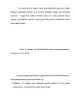 Referāts 'Vārpstas izgatavošanas tehnoloģiskais process', 2.