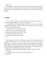 Referāts 'Tirgus analīze', 9.