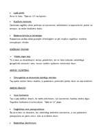 Referāts 'Tirgus analīze', 13.