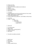 Konspekts 'Latvijas tiesību vēsture. Kurzemes un Zemgales hercogiste', 2.