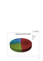 Konspekts 'Sievietes pasaule 20.gs. sākuma dzejnieces A.Skujiņas un 20.gs. beigu dzejnieces', 41.