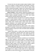 Diplomdarbs 'Latvijas uzņēmējdarbības analīze no finanšu aspekta', 19.