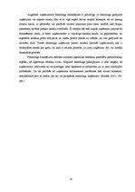 Diplomdarbs 'Latvijas uzņēmējdarbības analīze no finanšu aspekta', 29.