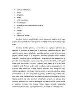 Referāts 'Investīcijas un to ietekme uz IKP Latvijā', 5.