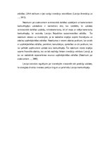 Referāts 'Investīcijas un to ietekme uz IKP Latvijā', 13.