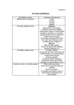 Referāts 'Investīcijas un to ietekme uz IKP Latvijā', 27.