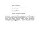 Konspekts 'E.Heringa "Faraona tēlnieks"', 2.