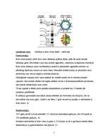 Konspekts 'Rota vīrusa infekcija', 3.