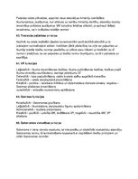 Konspekts 'Konstitucionālās tiesības', 20.