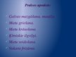 Prezentācija 'Frizieru prakses prezentācija', 6.