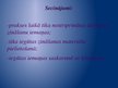 Prezentācija 'Frizieru prakses prezentācija', 13.