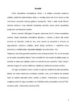 Referāts 'Individuālie darba aizsardzības līdzekļi (zābaki un kostīmi)', 3.