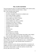 Referāts 'Individuālie darba aizsardzības līdzekļi (zābaki un kostīmi)', 8.