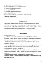 Referāts 'Individuālie darba aizsardzības līdzekļi (zābaki un kostīmi)', 16.