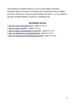 Referāts 'Individuālie darba aizsardzības līdzekļi (zābaki un kostīmi)', 17.