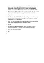 Konspekts 'Bērns citā kultūrā', 13.