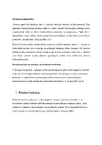 Referāts 'Terminoloģiskais raksturojums vārdam "Treuhänder"', 5.