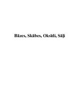 Konspekts 'Bāzes, skābes, sāļi, oksīdi', 1.