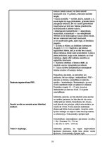 Prakses atskaite 'Prakses dienasgrāmata', 33.