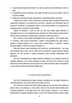 Prakses atskaite 'Kultūras un atpūtas centrs', 28.