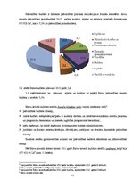 Prakses atskaite 'Kultūras un atpūtas centrs', 31.