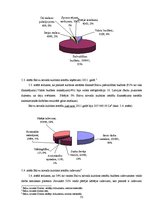 Prakses atskaite 'Kultūras un atpūtas centrs', 32.
