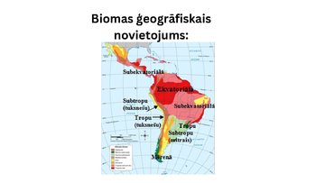 Prezentācija 'Savanna Dienvidamerikā', 2.