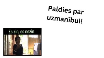 Prezentācija 'Savanna Dienvidamerikā', 12.