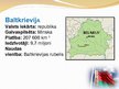 Prezentācija 'Baltkrievijas politika', 2.