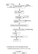 Prakses atskaite 'Ražošanas prakse a/s "Rīgas Miesnieks"', 15.