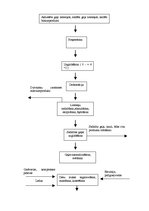 Prakses atskaite 'Ražošanas prakse a/s "Rīgas Miesnieks"', 21.