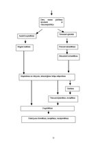 Prakses atskaite 'Ražošanas prakse a/s "Rīgas Miesnieks"', 22.