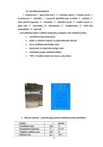 Prakses atskaite 'Ražošanas prakse a/s "Rīgas Miesnieks"', 41.