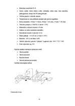 Prakses atskaite 'Ražošanas prakse a/s "Rīgas Miesnieks"', 44.