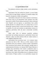 Diplomdarbs 'Apdrošināšana', 19.