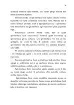 Diplomdarbs 'Apdrošināšana', 20.