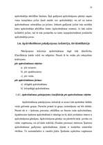 Diplomdarbs 'Apdrošināšana', 23.