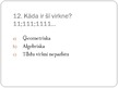 Prezentācija 'Virknes', 13.