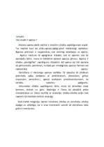 Referāts 'Viduslaiku un mūsdienu cilvēka apziņas kopīgais un atšķirīgais', 4.