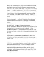 Konspekts 'Arhitektūra', 26.